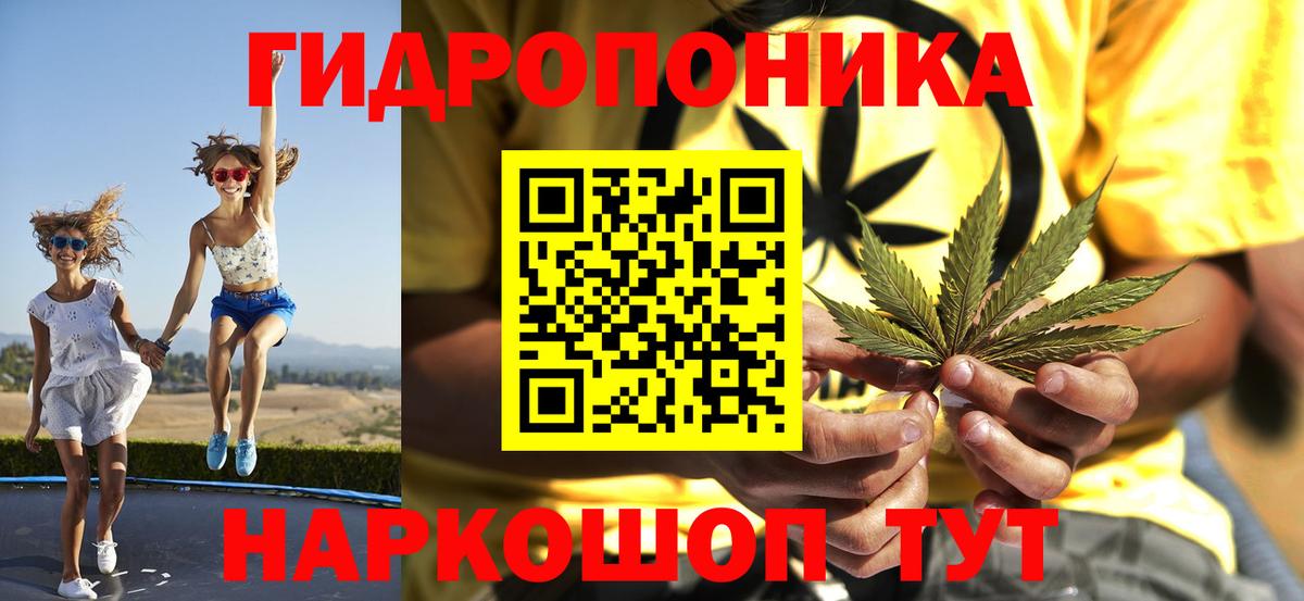 Конопля план  Бошки Шишки SATIVA & INDICA  Артём  Шишки марихуана MAZAR  Бошки Шишки планчик  Вход с VPN 